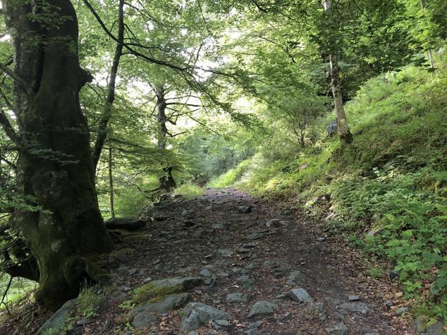 Fotos: Korrenegieta, el poder del viento