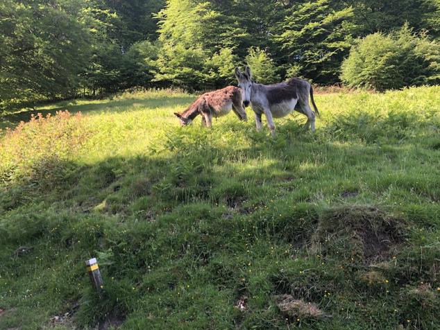 Fotos: Korrenegieta, el poder del viento