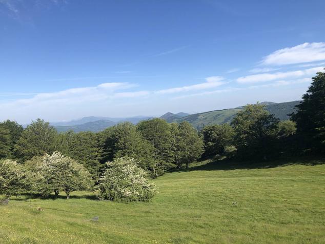 Fotos: Korrenegieta, el poder del viento