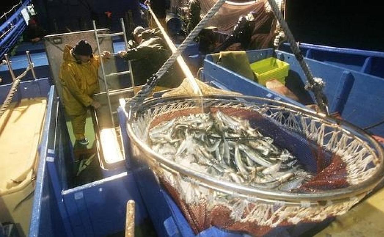 Pesca: Los arrantzales apuran las últimas faenas al agotar el 90% de la cuota de anchoa