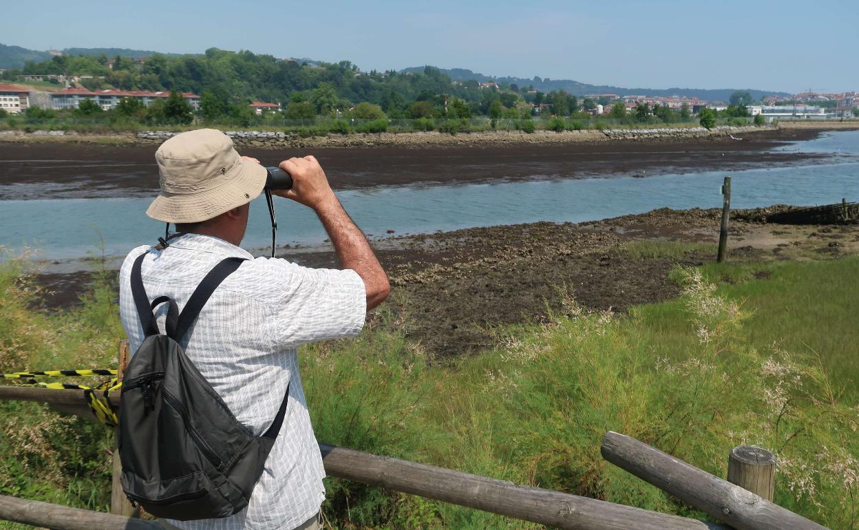Parque ecológico de las marismas de Txingudi, en Irun. 