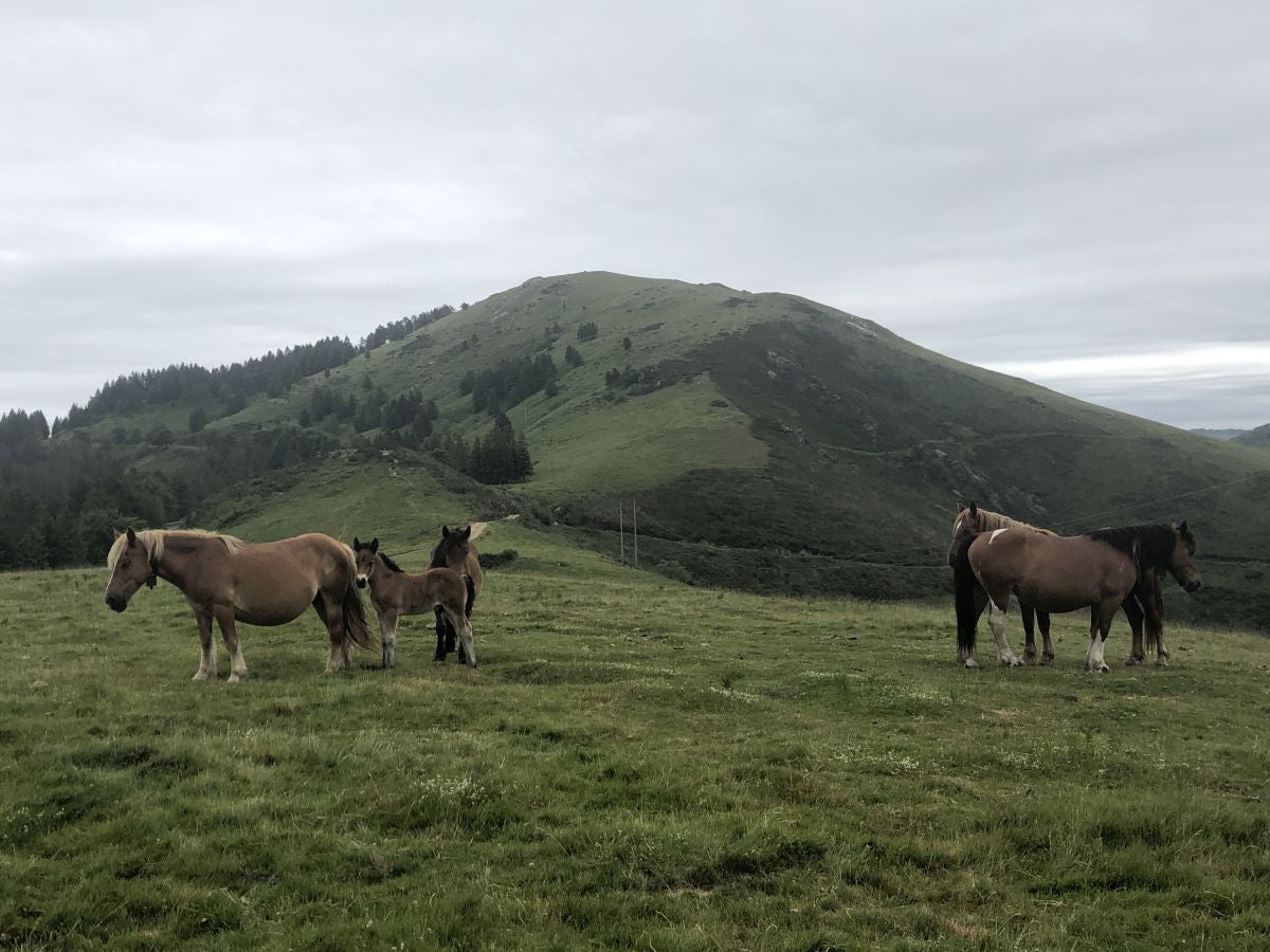 Fotos: Munagirre, magia natural por doquier