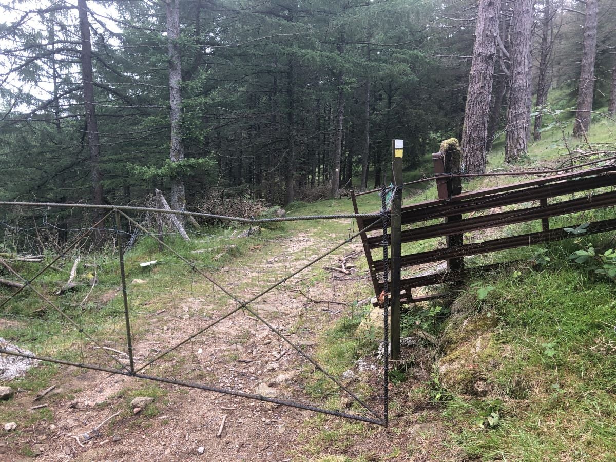 Fotos: Munagirre, magia natural por doquier