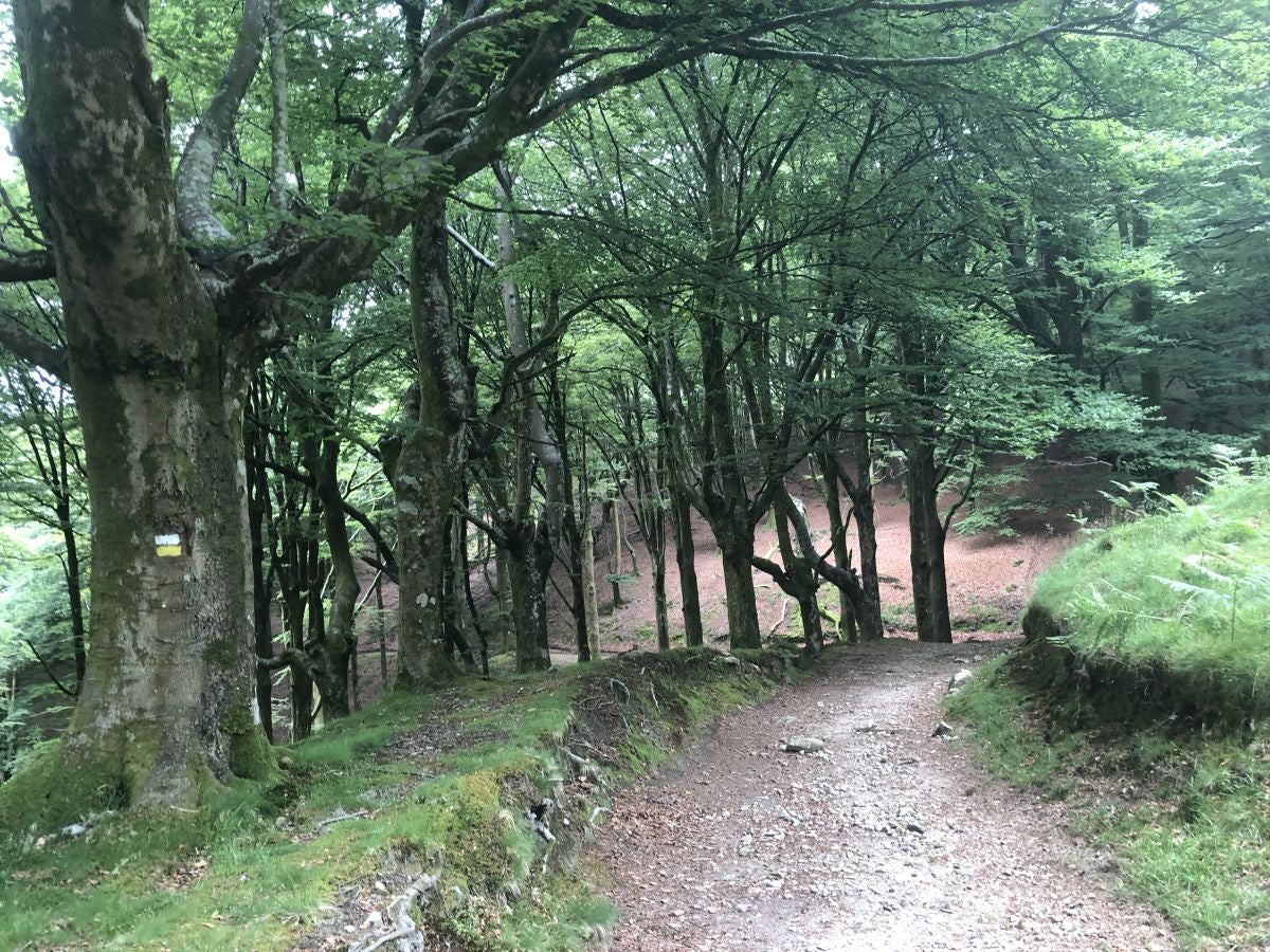 Fotos: Munagirre, magia natural por doquier