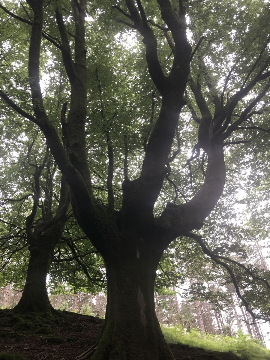 Fotos: Munagirre, magia natural por doquier