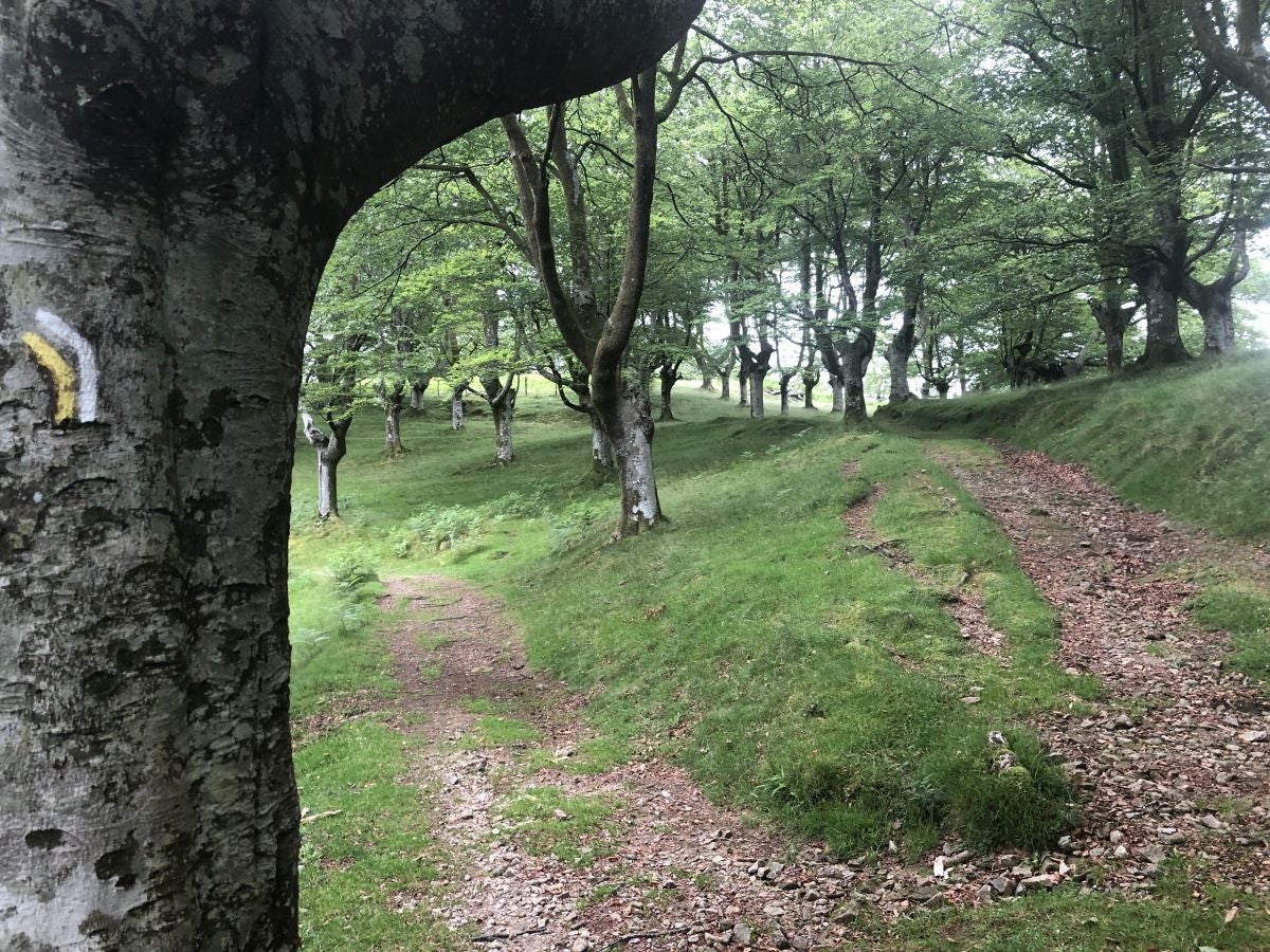 Fotos: Munagirre, magia natural por doquier