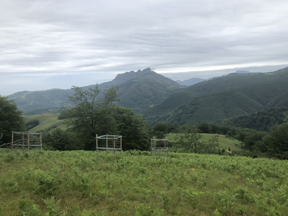 Fotos: Munagirre, magia natural por doquier