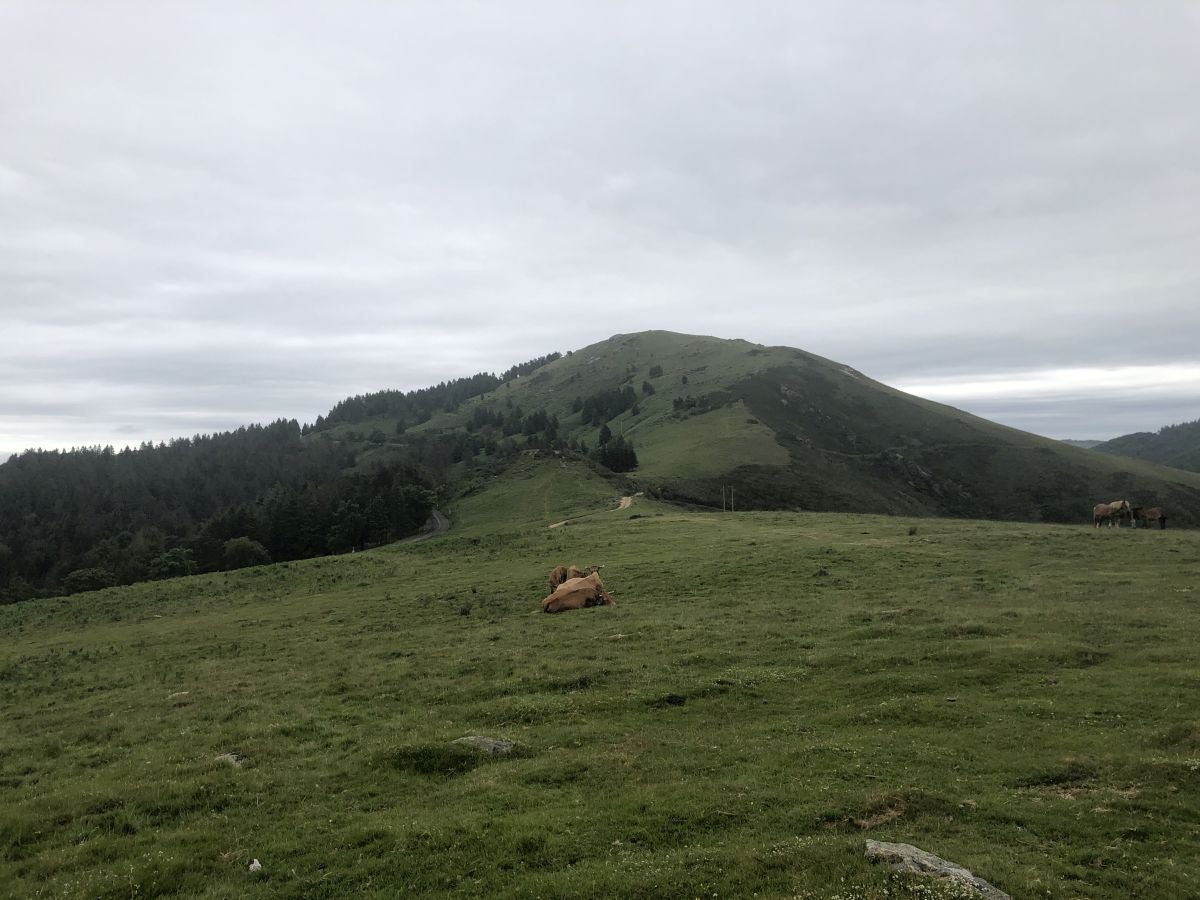 Fotos: Munagirre, magia natural por doquier