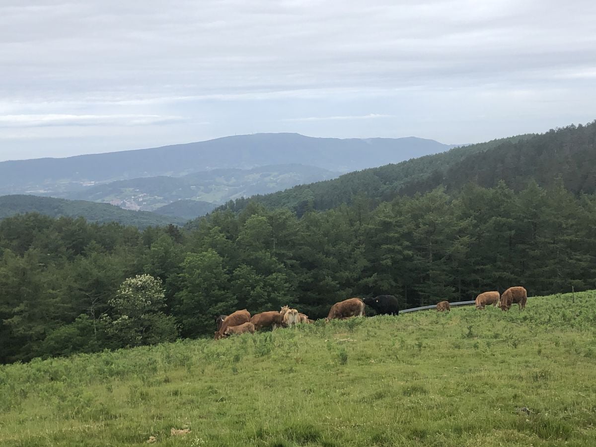 Fotos: Munagirre, magia natural por doquier