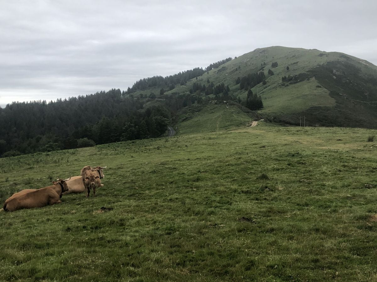 Fotos: Munagirre, magia natural por doquier