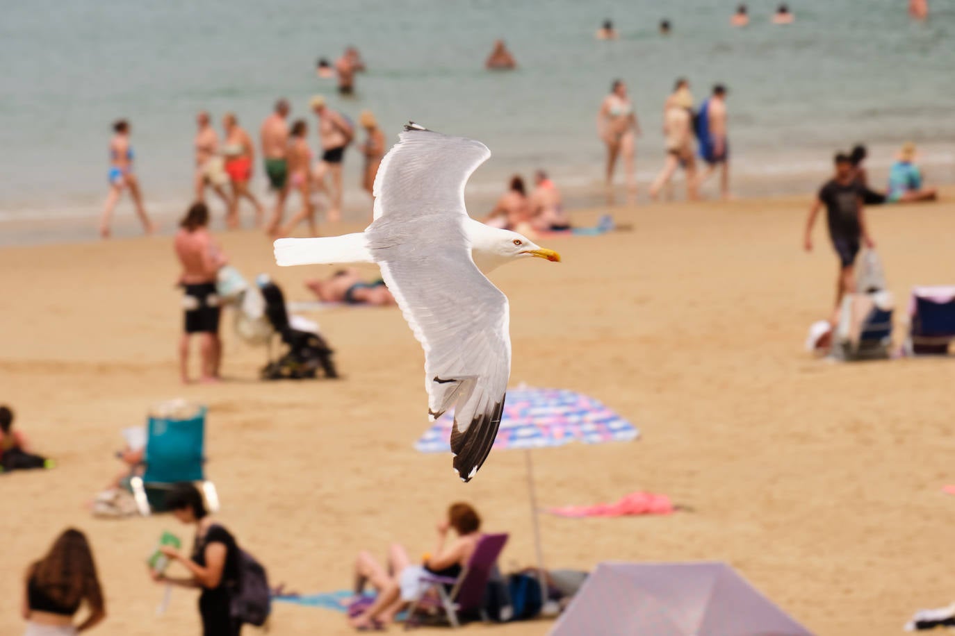 Fotos: Gipuzkoa en aviso amarillo: 30 grados y subiendo