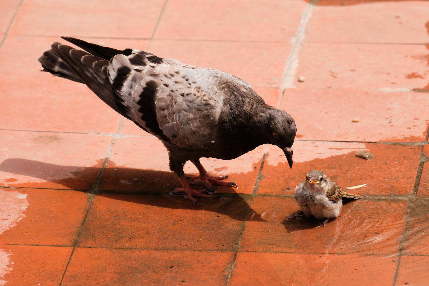 Fotos: Gipuzkoa en aviso amarillo: 30 grados y subiendo