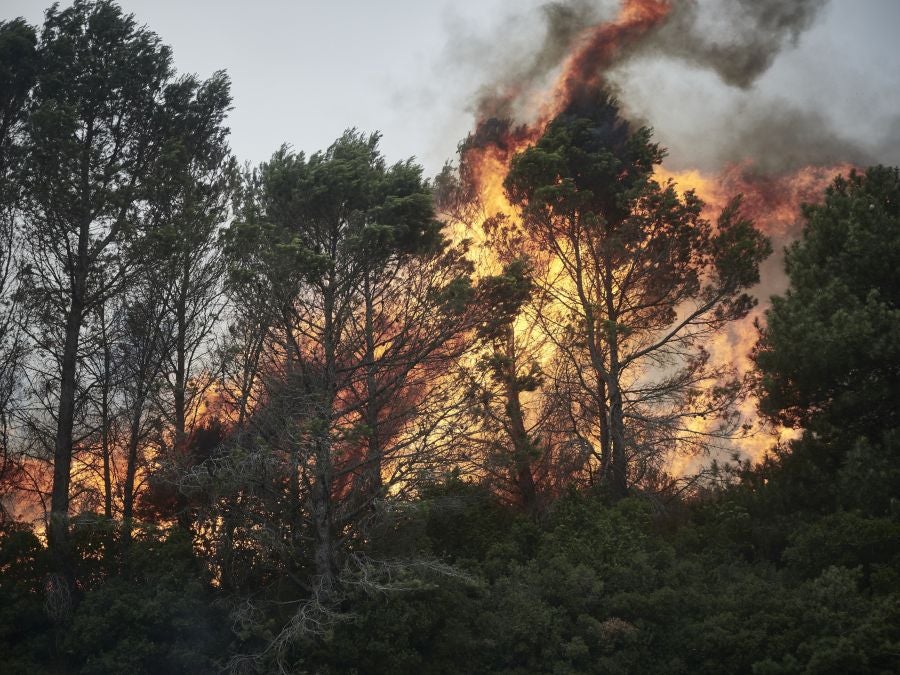 Fotos: Navarra en alerta por varios incendios