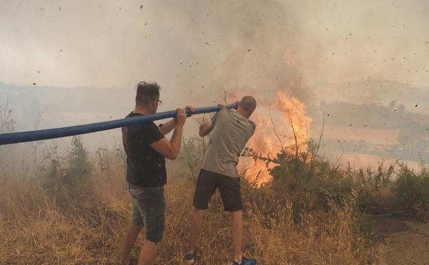 Los vecinos combatieron el fuego.