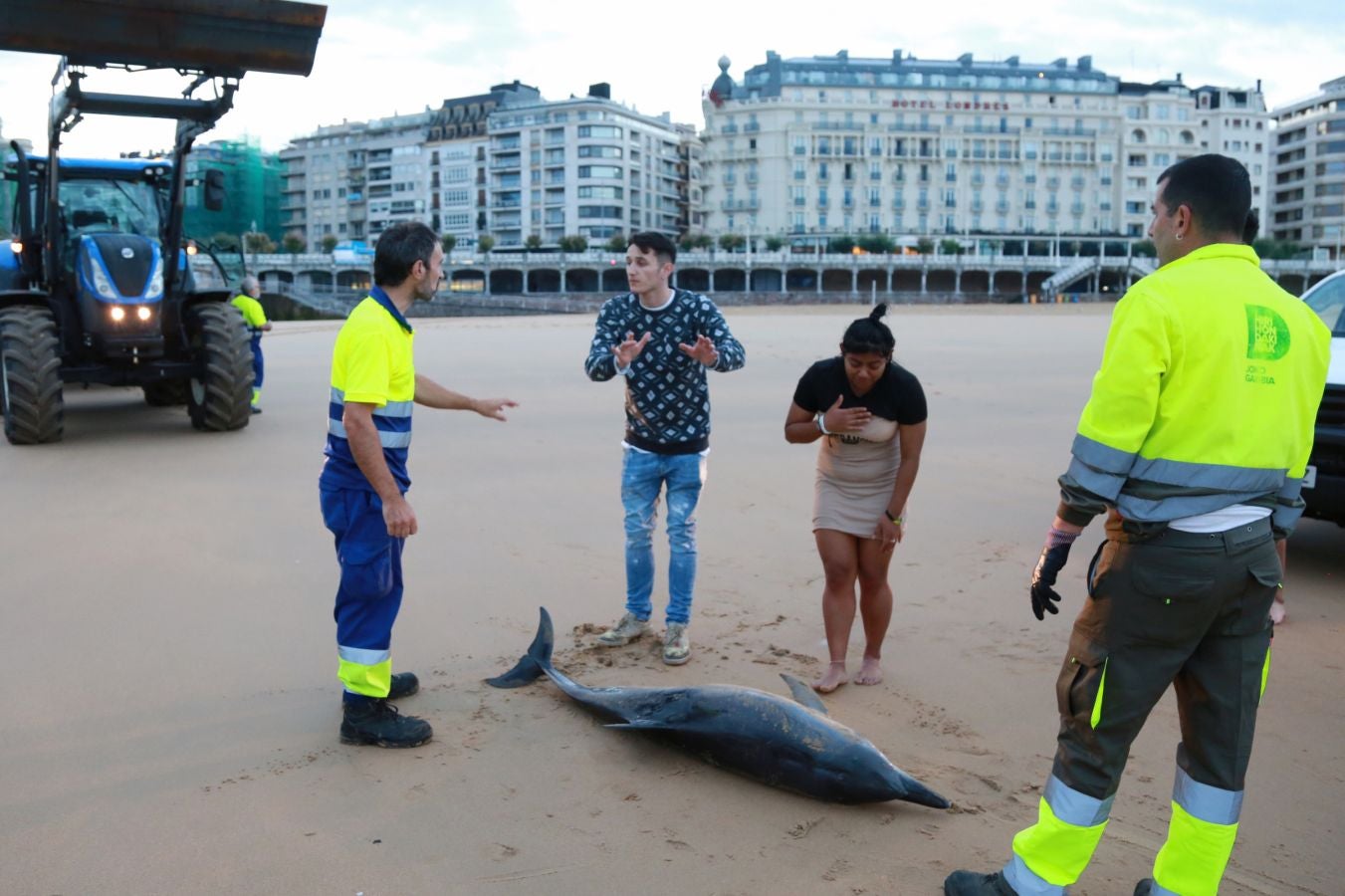 Varios jóvenes han intentado sin éxito devolver el ejemplar al mar