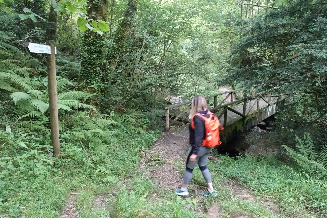 Fotos: Urdaburu, por caminos prehistóricos