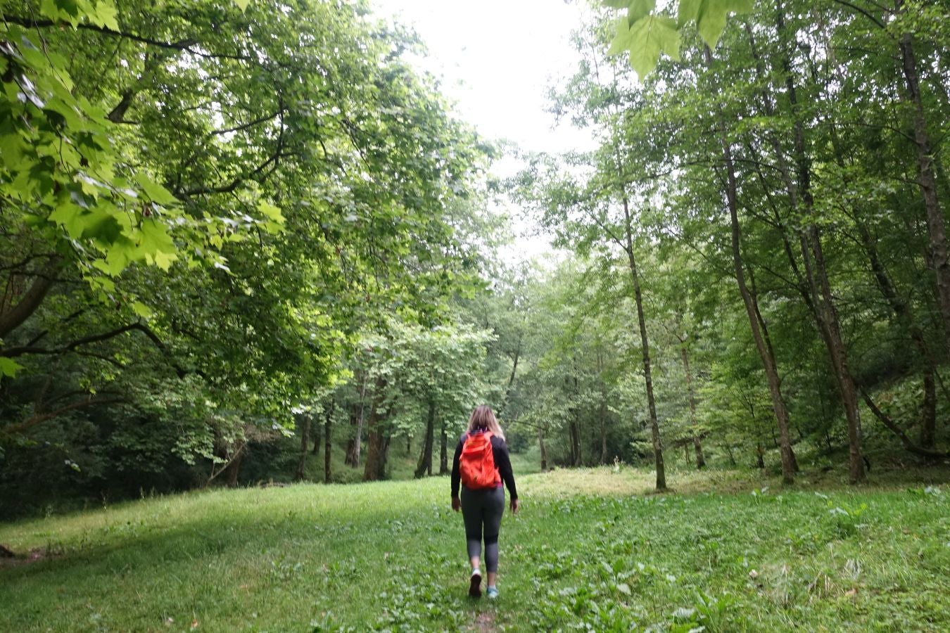 Fotos: Urdaburu, por caminos prehistóricos