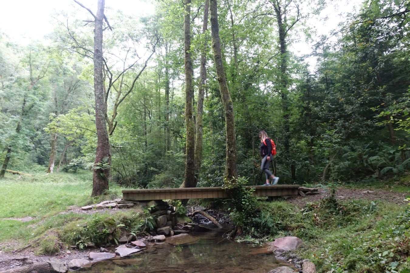 Fotos: Urdaburu, por caminos prehistóricos