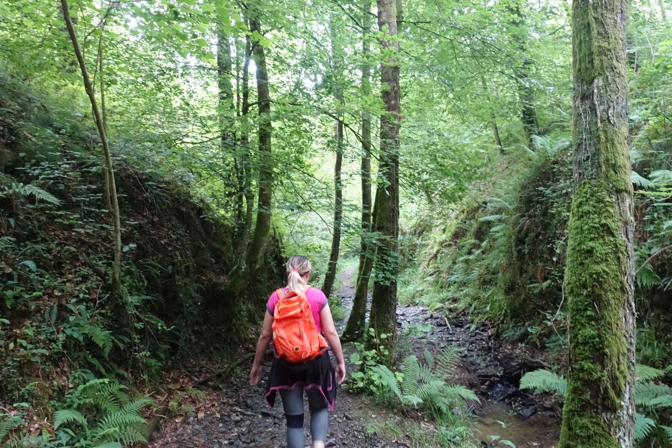 Fotos: Urdaburu, por caminos prehistóricos