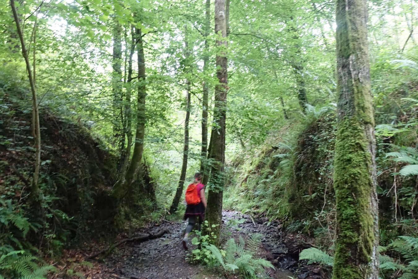 Fotos: Urdaburu, por caminos prehistóricos