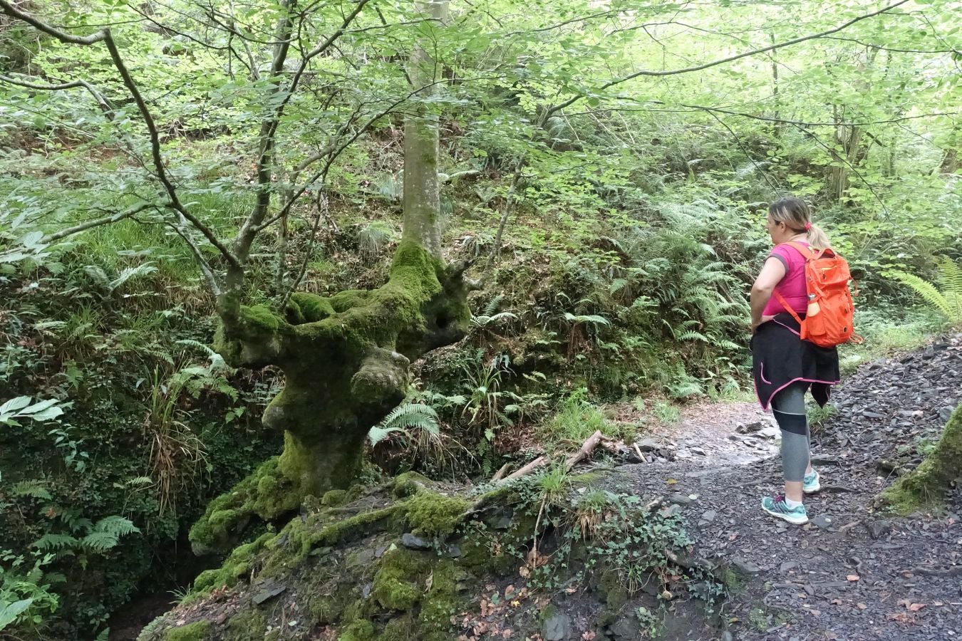 Fotos: Urdaburu, por caminos prehistóricos