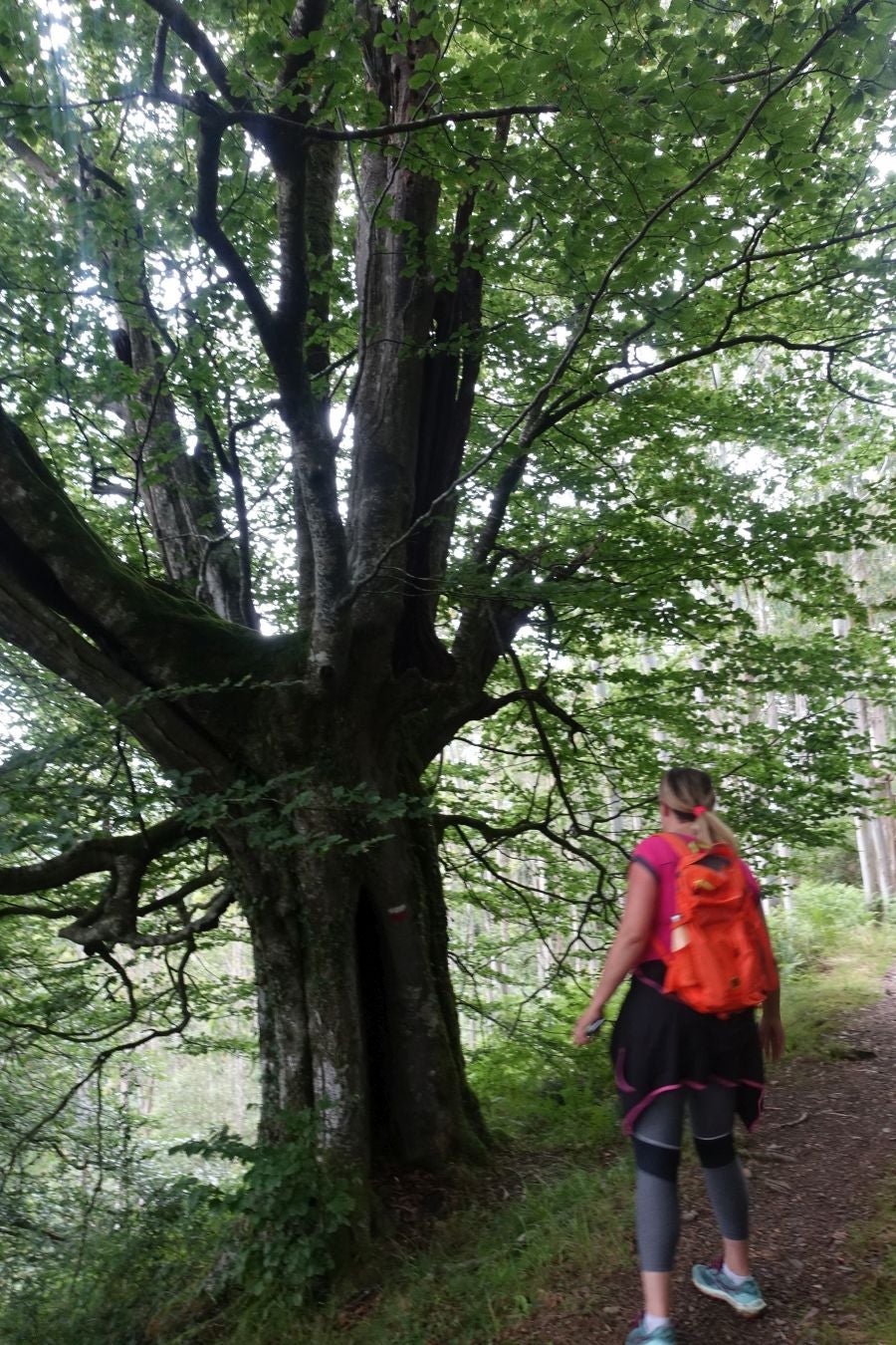 Fotos: Urdaburu, por caminos prehistóricos