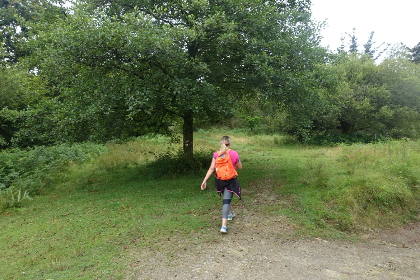 Fotos: Urdaburu, por caminos prehistóricos