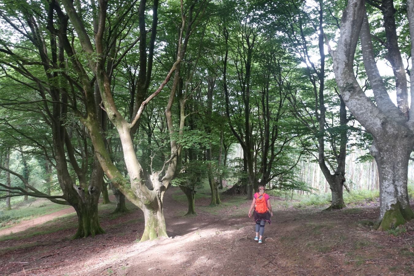 Fotos: Urdaburu, por caminos prehistóricos