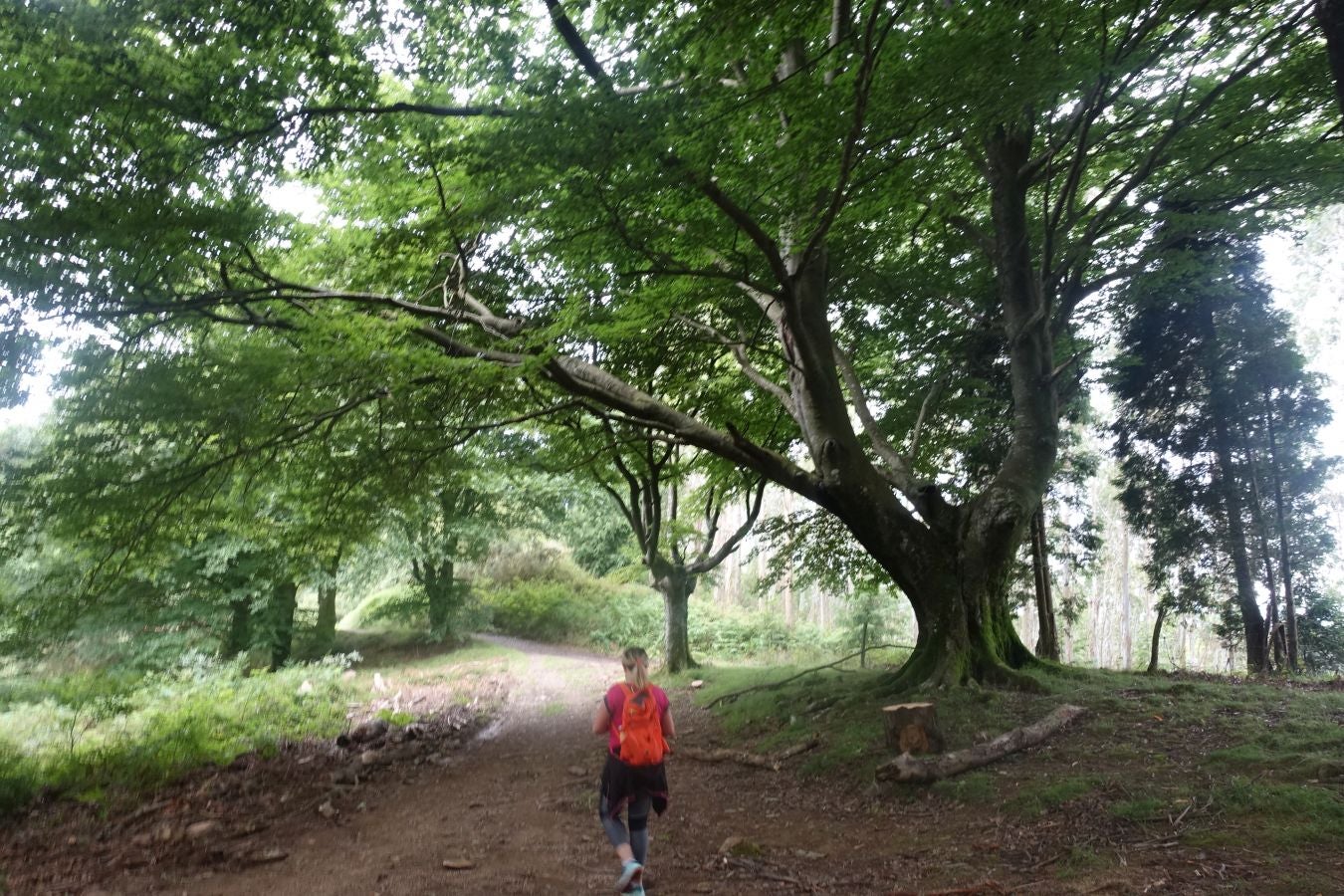 Fotos: Urdaburu, por caminos prehistóricos