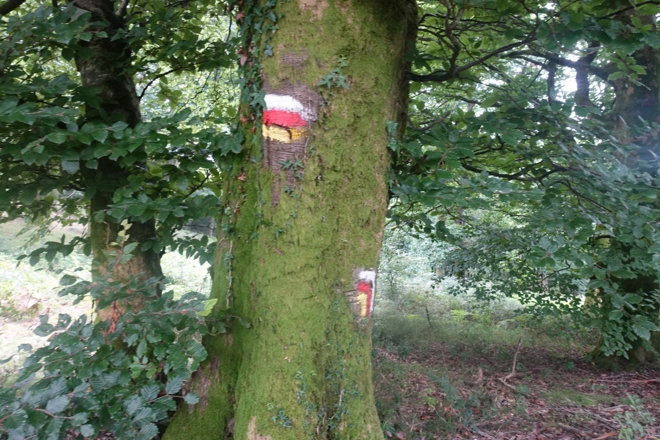 Fotos: Urdaburu, por caminos prehistóricos