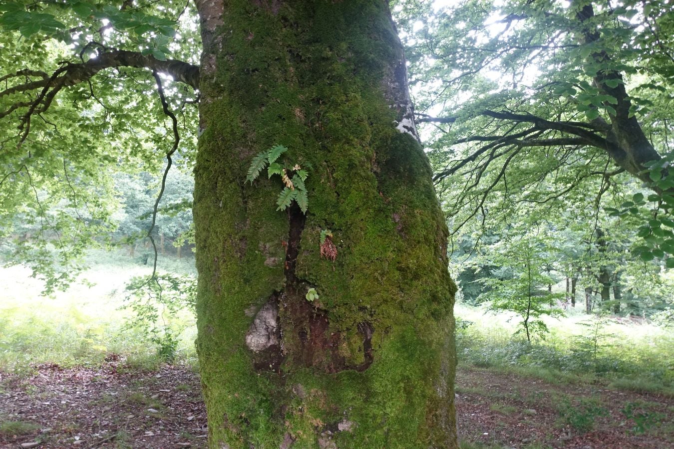 Fotos: Urdaburu, por caminos prehistóricos