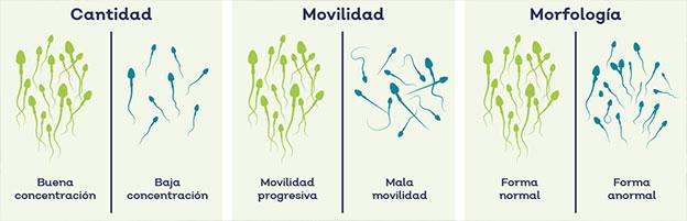 Fuente: Instituto Vasco de Fertilidad