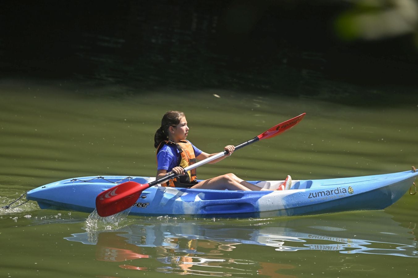 Fotos: Gipuzkoa se abrasa a más de 35ºC