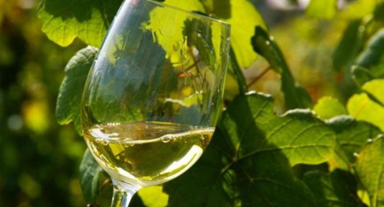 El txakoli volverá a ser protagonista hoy por la mañana en Seber Altube con una muestra de txakolis para degustar estos días. 