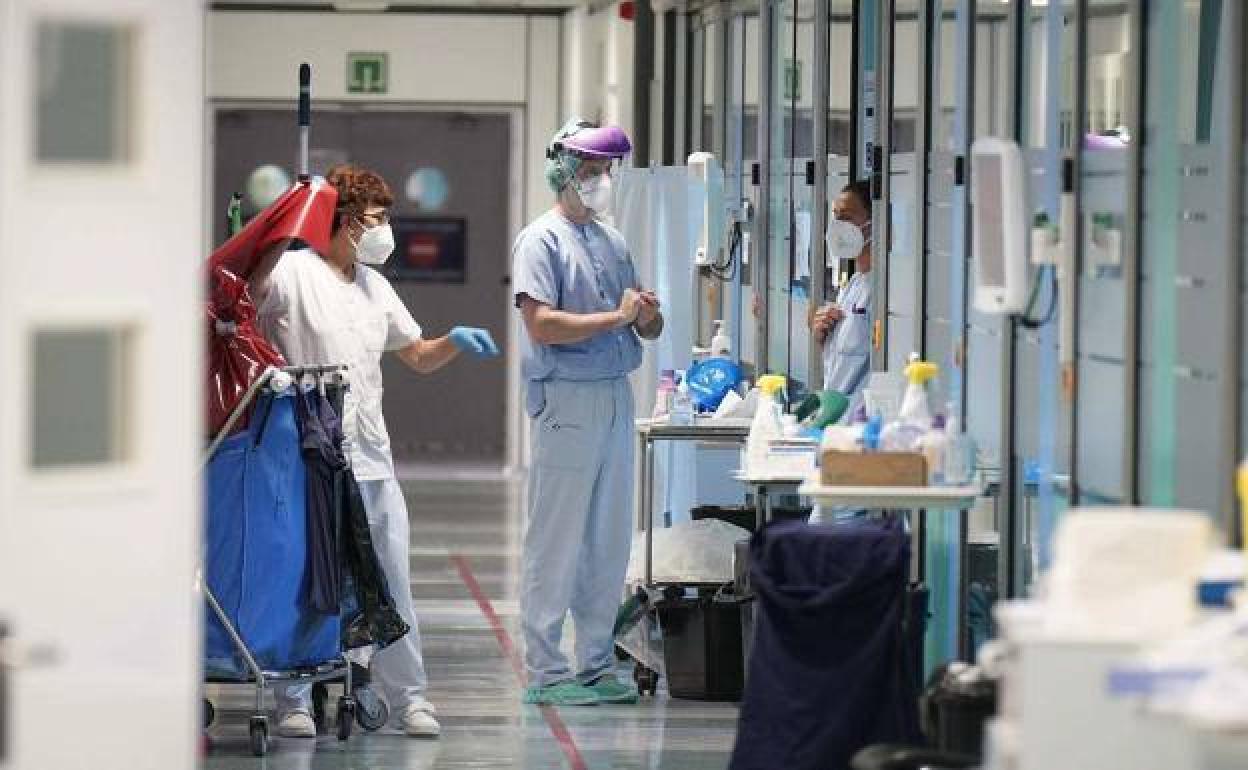 Enfermeros en una planta del Hospital Donostia. 