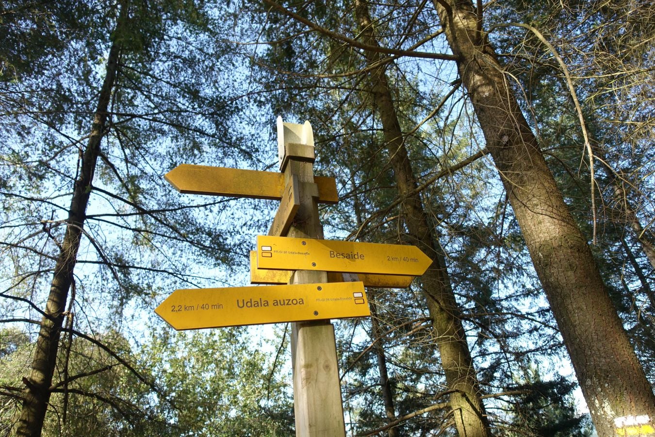 Fotos: Udalatx, impresionante regalo a la vista