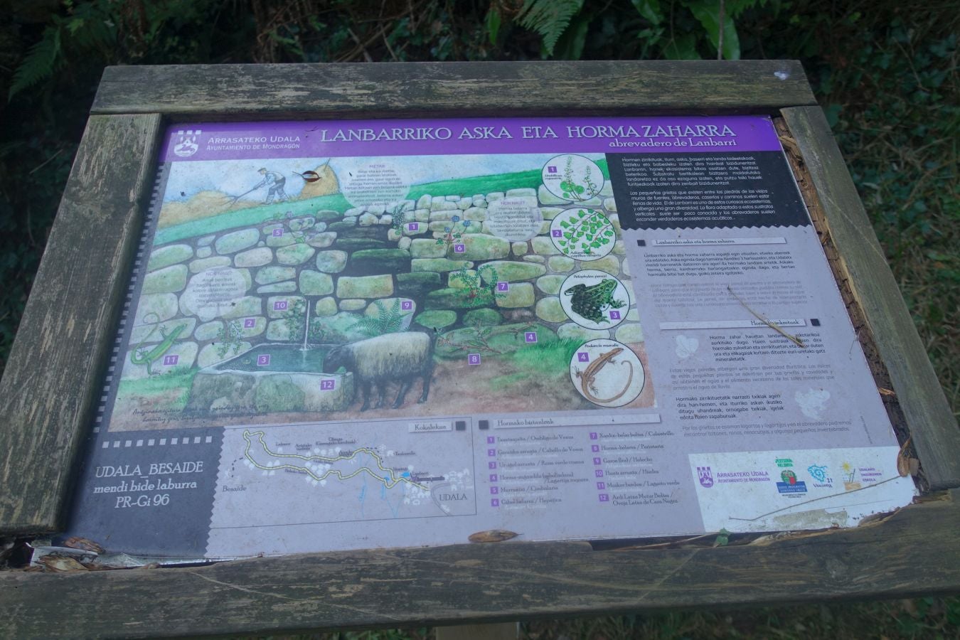 Fotos: Udalatx, impresionante regalo a la vista