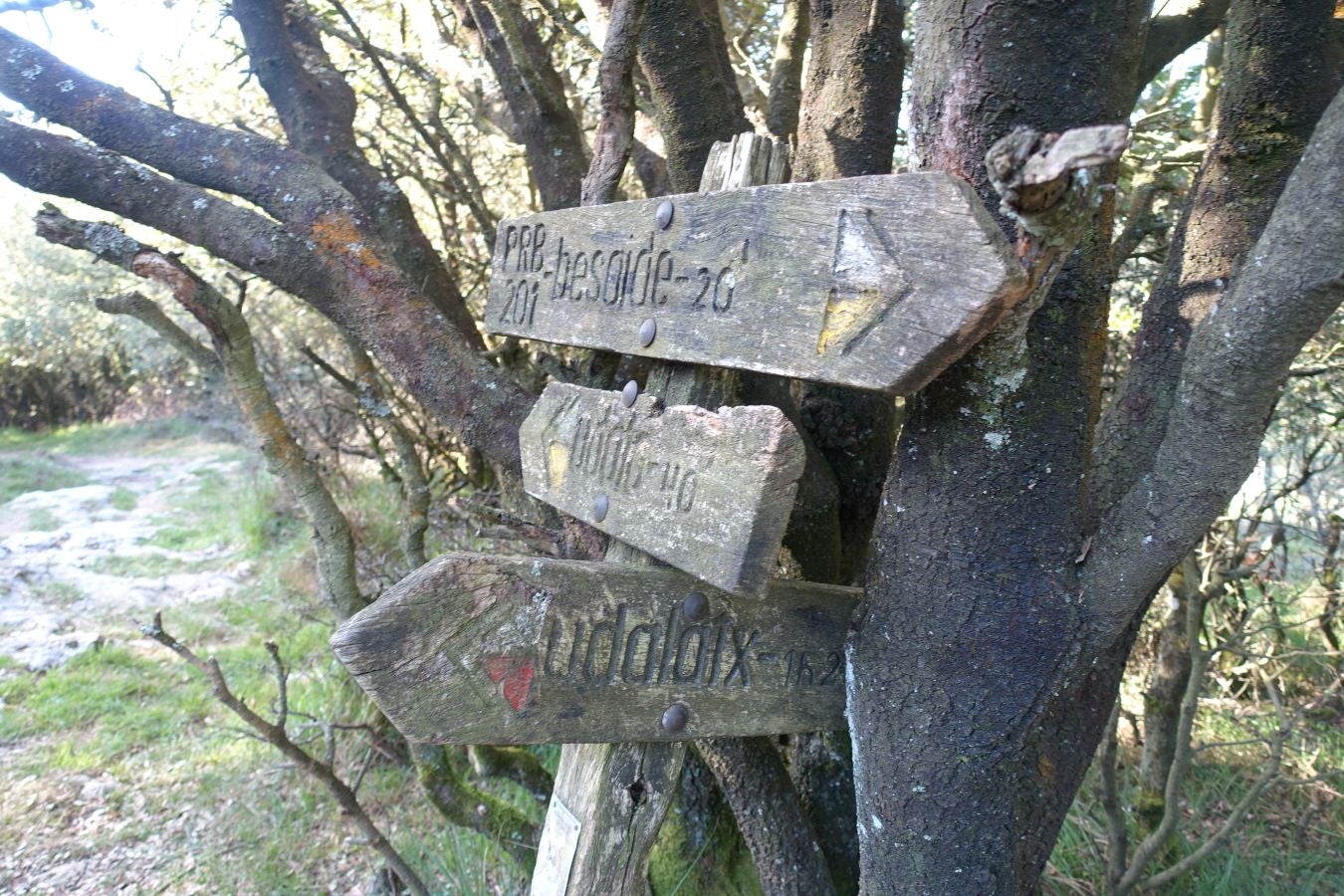 Fotos: Udalatx, impresionante regalo a la vista