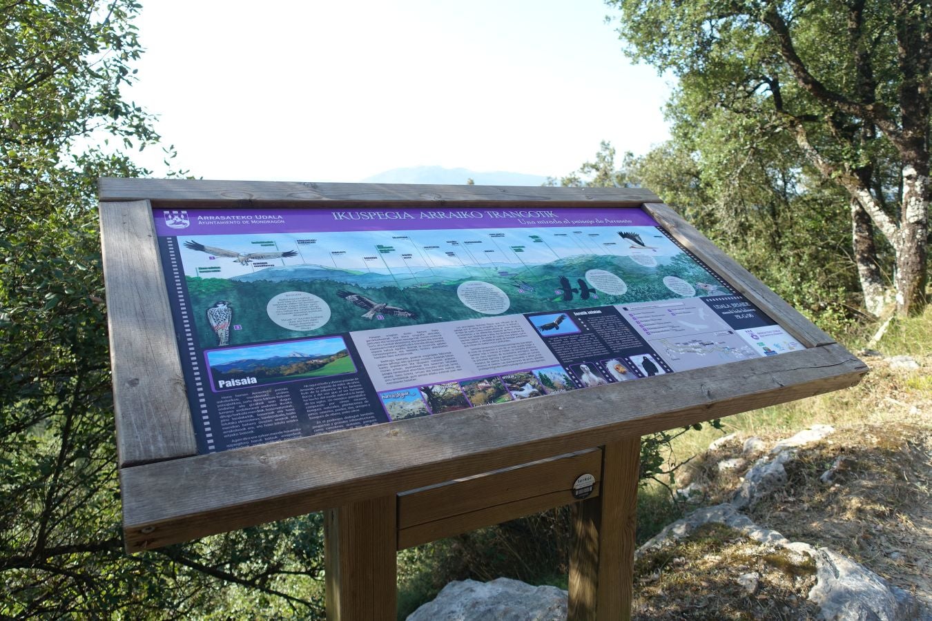 Fotos: Udalatx, impresionante regalo a la vista