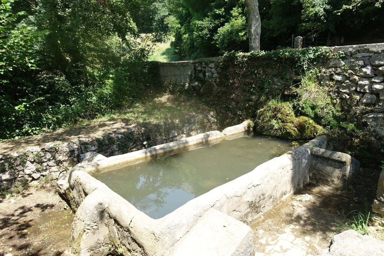 Fotos: Udalatx, impresionante regalo a la vista