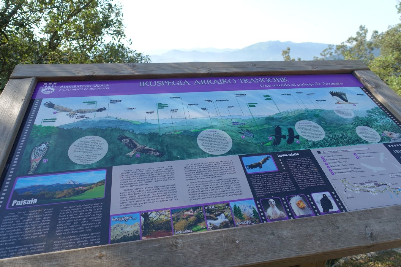 Fotos: Udalatx, impresionante regalo a la vista