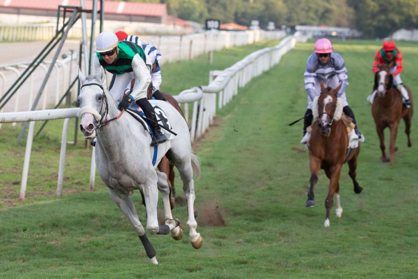 'White King', en la quinta carrera, Premio Diputación de Gipuzkoa. 