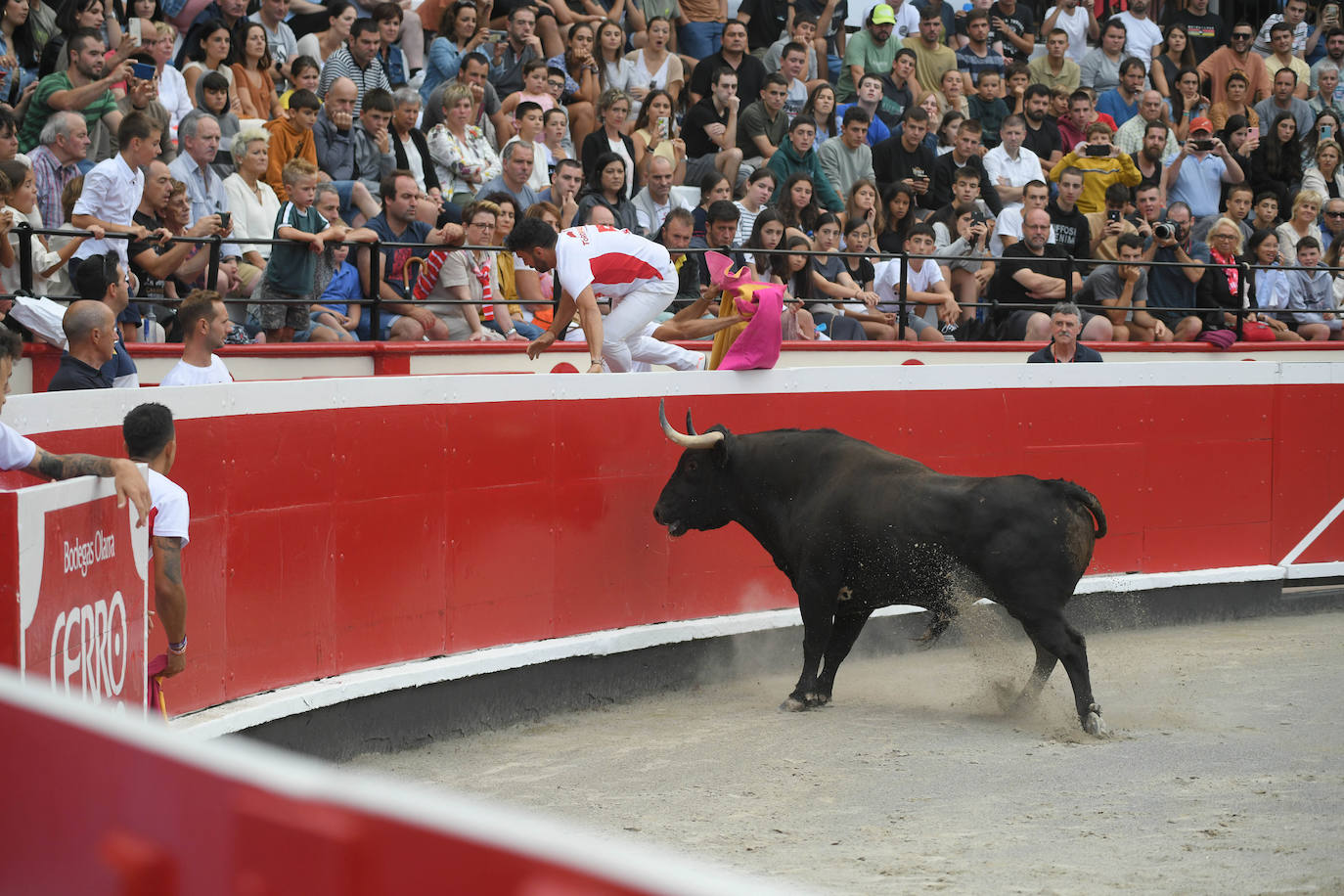 Fotos: Los recortadores y sus piruetas conquistan la Plaza de Toros de Azpeitia