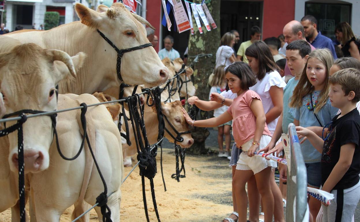 Azpeitia: Gogoz ospatu dute azpeitiarrek Santio Eguna eta jada saninazioen zain daude