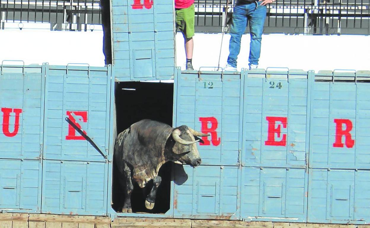 Mariscado nº 30 cárdeno claro, de la ganadería de Ana Romero. 