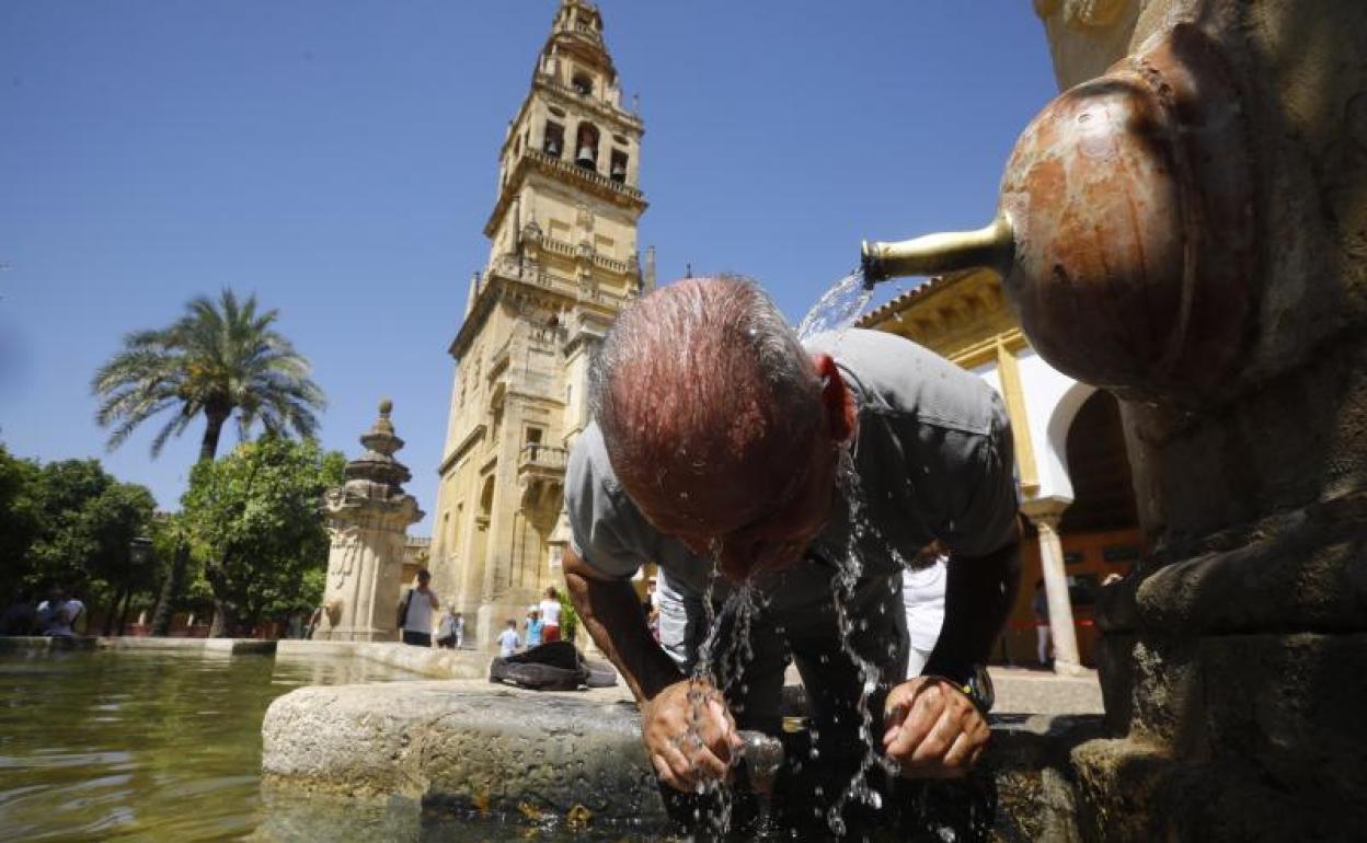 Un hombre se refresca en la fuente del patio de los naranjos de la Mezquita-Catedral de Córdoba.