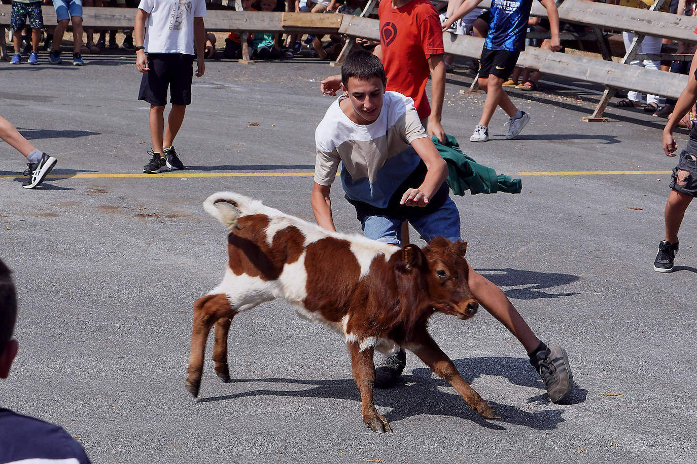 Fotos: Ekitaldiz jositako Xanistebanetako egun handia