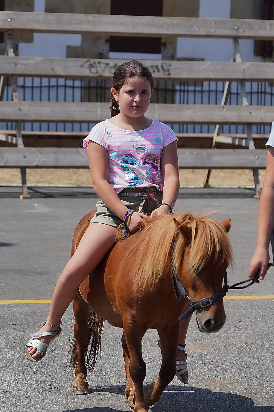 Fotos: Ekitaldiz jositako Xanistebanetako egun handia