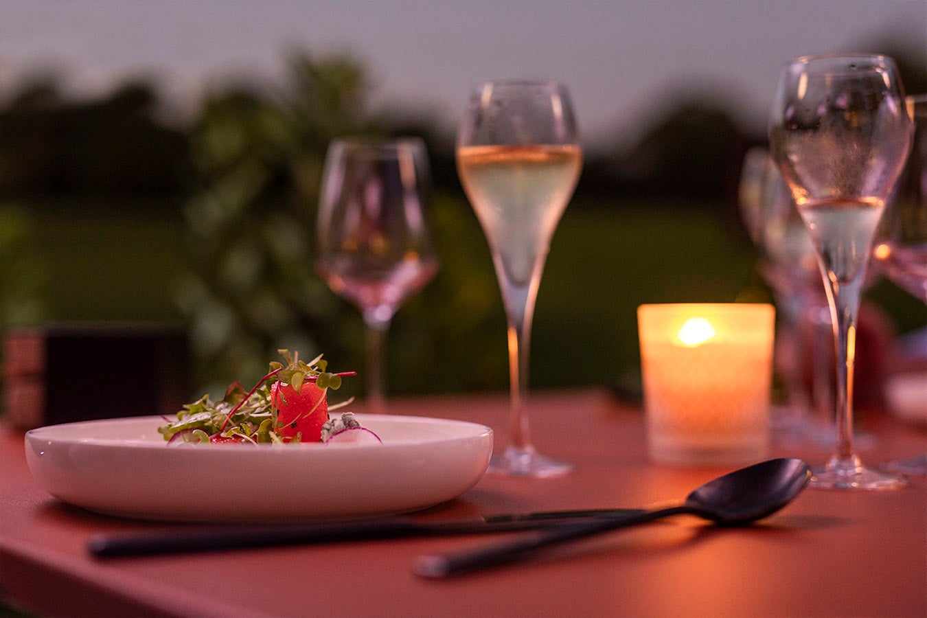 Visita y cena en Chillida Leku