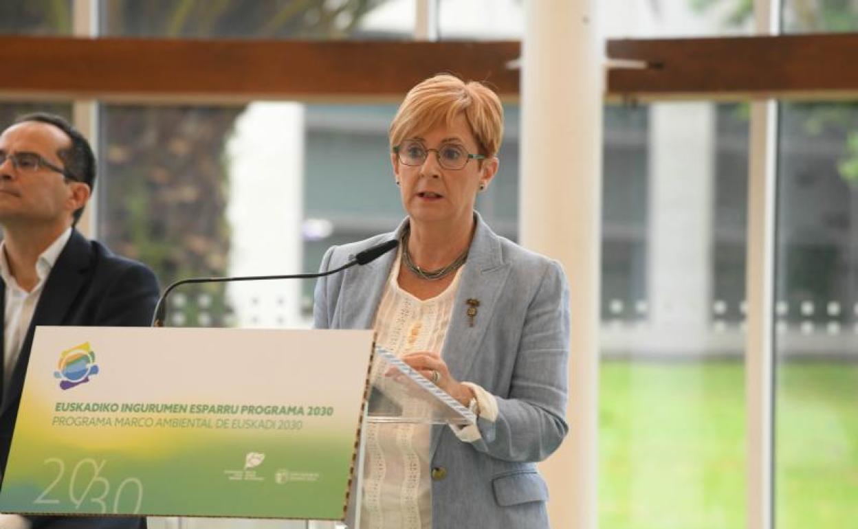 La consejera de Desarrollo Económico, Sostenibilidad y Medio Ambiente, Arantxa Tapia. 